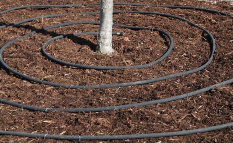 A soaker hose placed around the base of a tree can be used to help keep the soil and roots moist. COURTESY PHOTO | WWW.MELINDAMYERS.COM