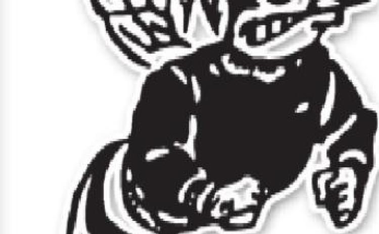 Alt Text for Image
