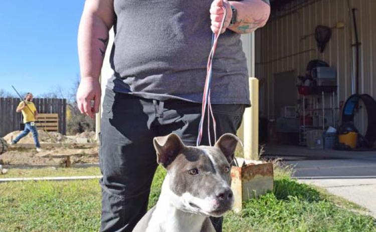 Lampasas Animal Shelter Director Casey Schwartzer walks Poppy, a terrier mix available for adoption at the shelter. “She wants to find her people,” Schwartzer said. Adoptable animals seek their forever homes, not a temporary stay. alexandria randolph | dispatch record