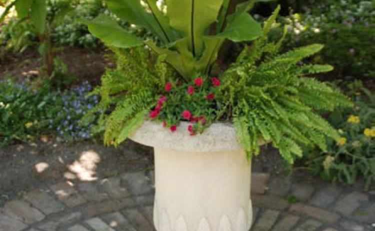 Provide heat-stressed plants in containers relief by moving them into the shade during heat waves. COURTESY PHOTO | MELINDAMYERS.COM