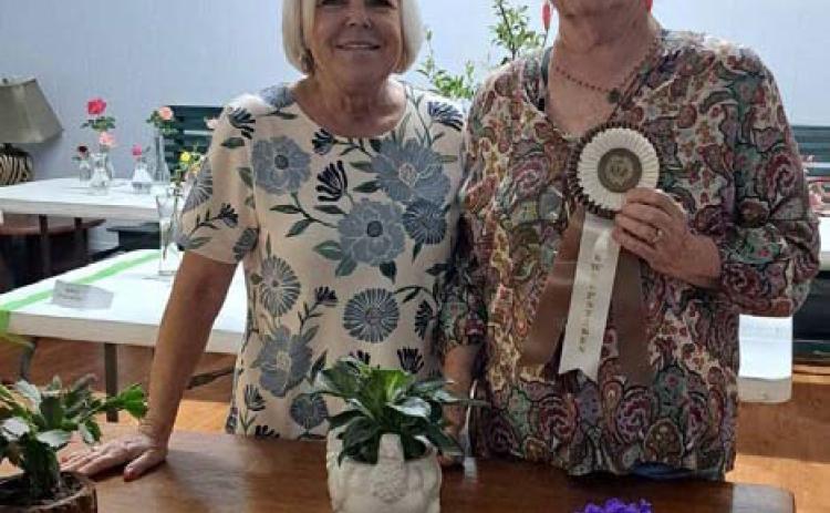 Teresa Stewart, at right, took home the Sweepstakes award for earning the most blue ribbons in the horticulture division of the L-M Garden and Civic Club Flower Show. Pictured with her is Sheri Stone, who served as the flower show judge. COURTESY PHOTO