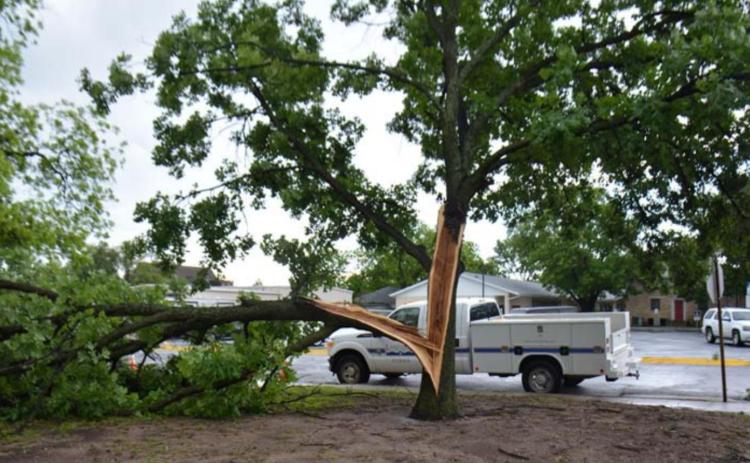 Storm damages tree downtown