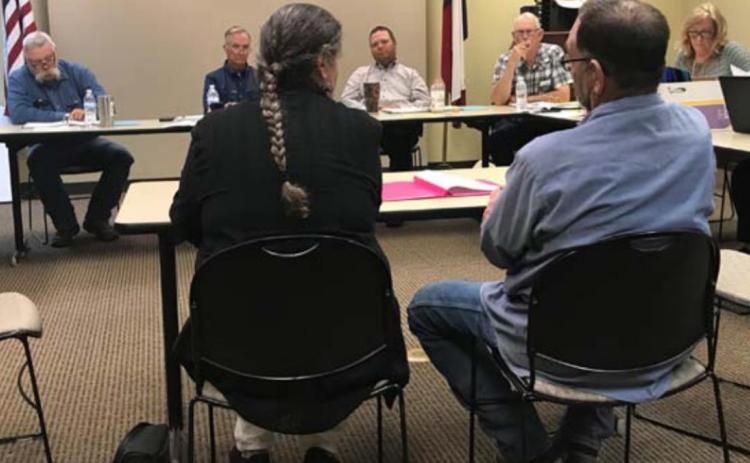 Adamsville Volunteer Fire Department Treasurer Sharon Watson and Assistant Chief Dean Watson address the Lampasas Commissioners Court and county staff during a budget workshop this week. MONIQUE BRAND | DISPATCH RECORD