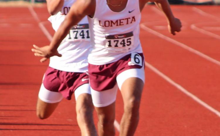 Hornets place but short of qualifying for state in