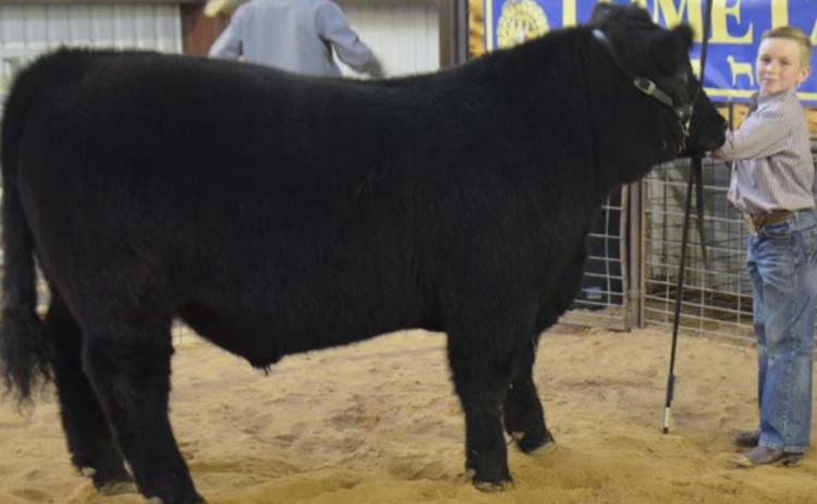 Housten Hill exhibited the reserve-champion steer. MASON HINES | DISPATCH RECORD