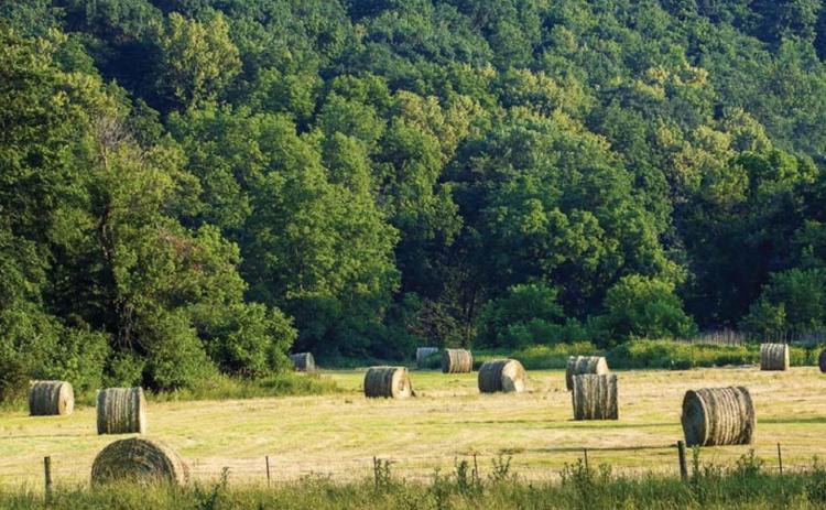 Nationwide shortages and rising costs have affected the agriculture industry. METRO CREATIVE SERVICES