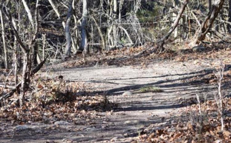 A series of natural hike and bike trails on the east side of the 580 Sports Complex have been created by volunteers over the past 18 months. ALEXANDRIA RANDOLPH | DISPATCH RECORD