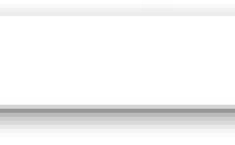 Alt Text for Image