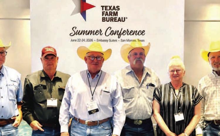 Lampasas County Farm Bureau directors, left to right, Rusty Calk, Mike Hail, Mickey Edwards, Jim Spivey, LCFB vice president Janet Machen and LCFB president Stephen Ruzicka, participated in the Texas Farm Bureau Summer Conference held June 22-24 in San Marcos at the Embassy Suites. Not pictured: director Steve Forsythe. COURTESY PHOTO