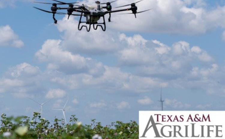 “Dones in Agriculture” will be presented at the Lampasas County Farm Bureau building. RSVP deadline is July 11. courtesy photo