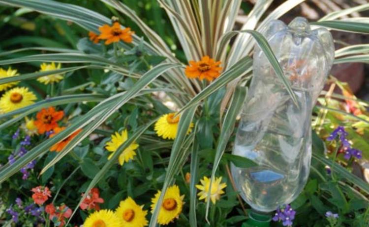 Water or wine bottles can be combined with commercial products to help regulate the flow of water to container gardens while the family is away on vacation. MELINDAMYERS.COM | COURTESY PHOTO