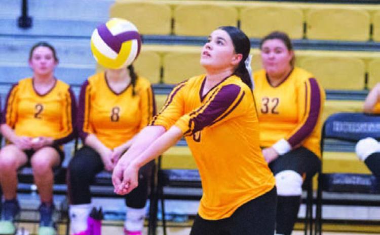 Junior Elaina Faulstitch has been an important addition to the Lady Hornets this season, bringing an energy and enthusiasm to the court. ANA SOFIA MEYER | DISPATCH RECORD