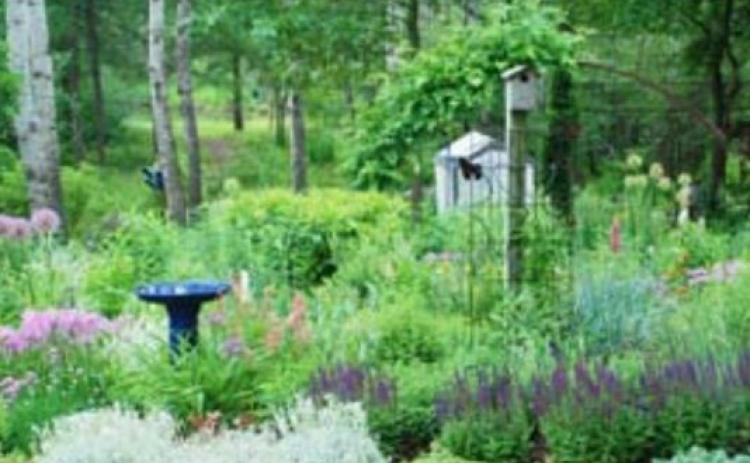 Include habitat features in your garden and landscape that are needed to attract and sustain the wildlife you are trying to benefit. MELINDAMYERS.COM | COURTESY PHOTO